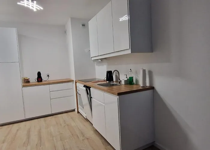 Apartment Wilczy Przy Malcie, Self Check-in, Free Parking Poznan